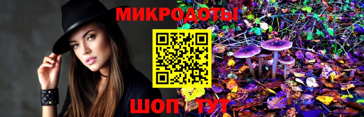 Псилоцибиновые грибы мицелий Ковров