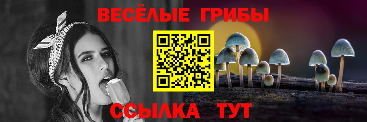 Псилоцибиновые грибы Psilocybe  Вход с VPN  наркотики  Псилоцибиновые грибы GOLDEN TEACHER  Ковров 