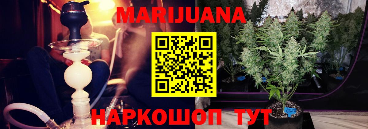 Бошки марихуана сатива Ковров